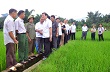 Nông thôn mới phải nâng cao đời sống cho nông dân 